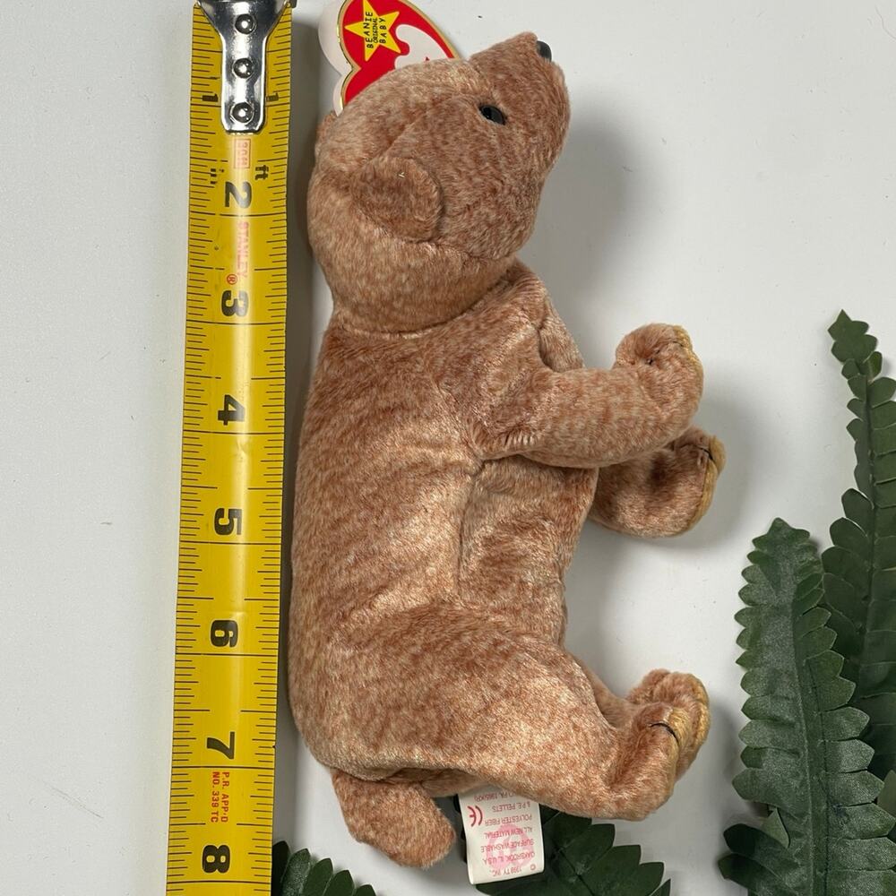 Vintage Pecan Beanie Babies 1999 TY With Tag - Picture 5 of 5